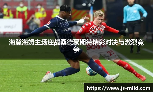 海登海姆主场迎战桑德豪期待精彩对决与激烈竞争